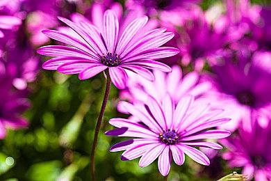 任天堂明确Switch2详情公布时间 4月2日21点